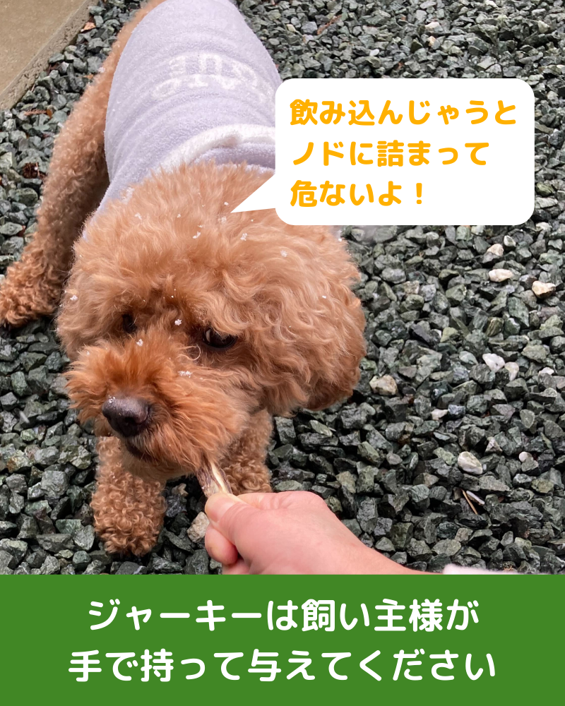 鹿のあばら骨ジャーキー 100g x3袋セット