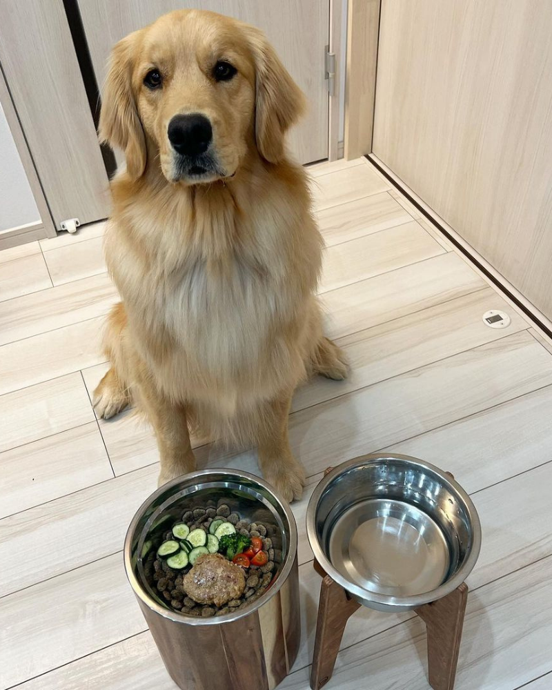 鹿肉ハンバーグ 50gx10袋セット