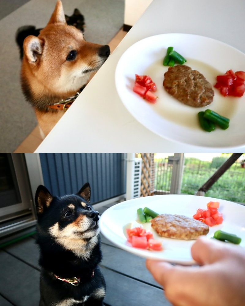 鹿肉ハンバーグ 50gx10袋セット