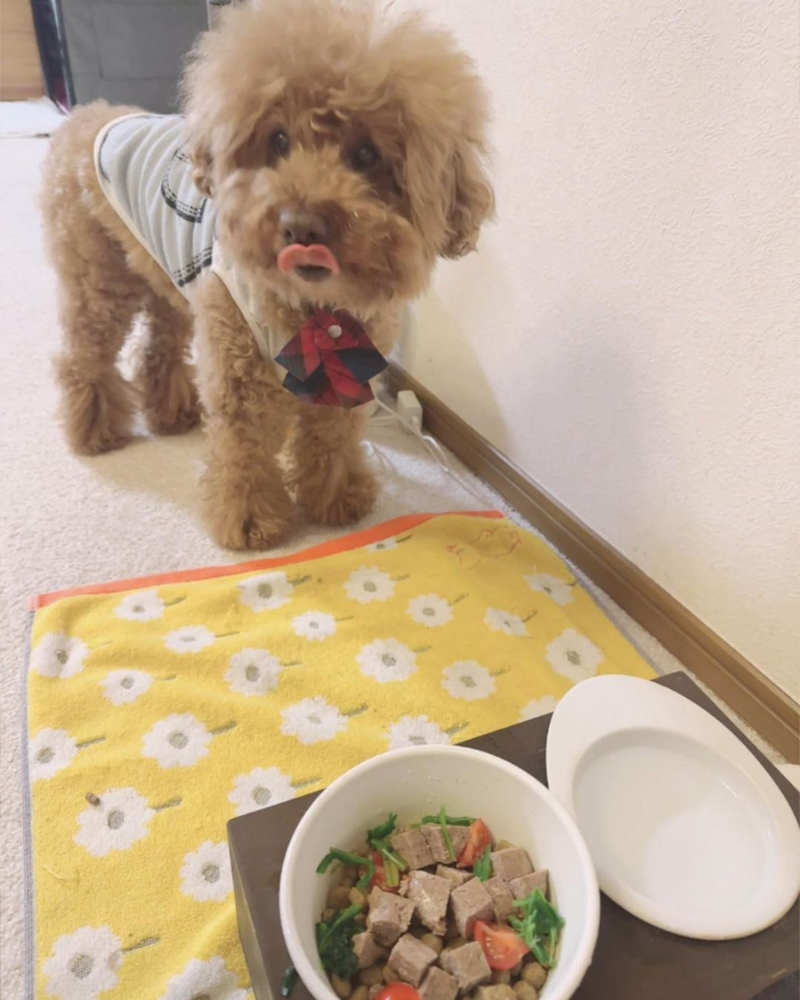 鹿肉ハンバーグ 50gx3袋セット