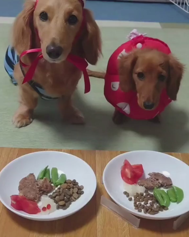 鹿肉ハンバーグ 50gx10袋セット