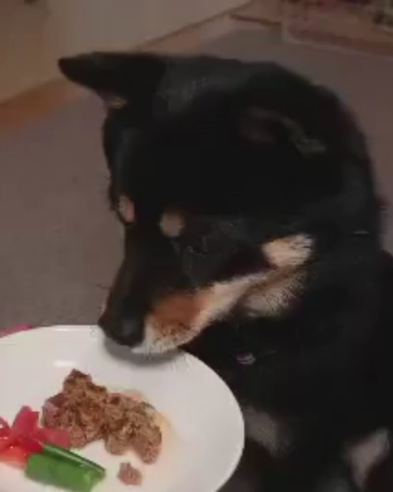 鹿肉ハンバーグ 50gx3袋セット