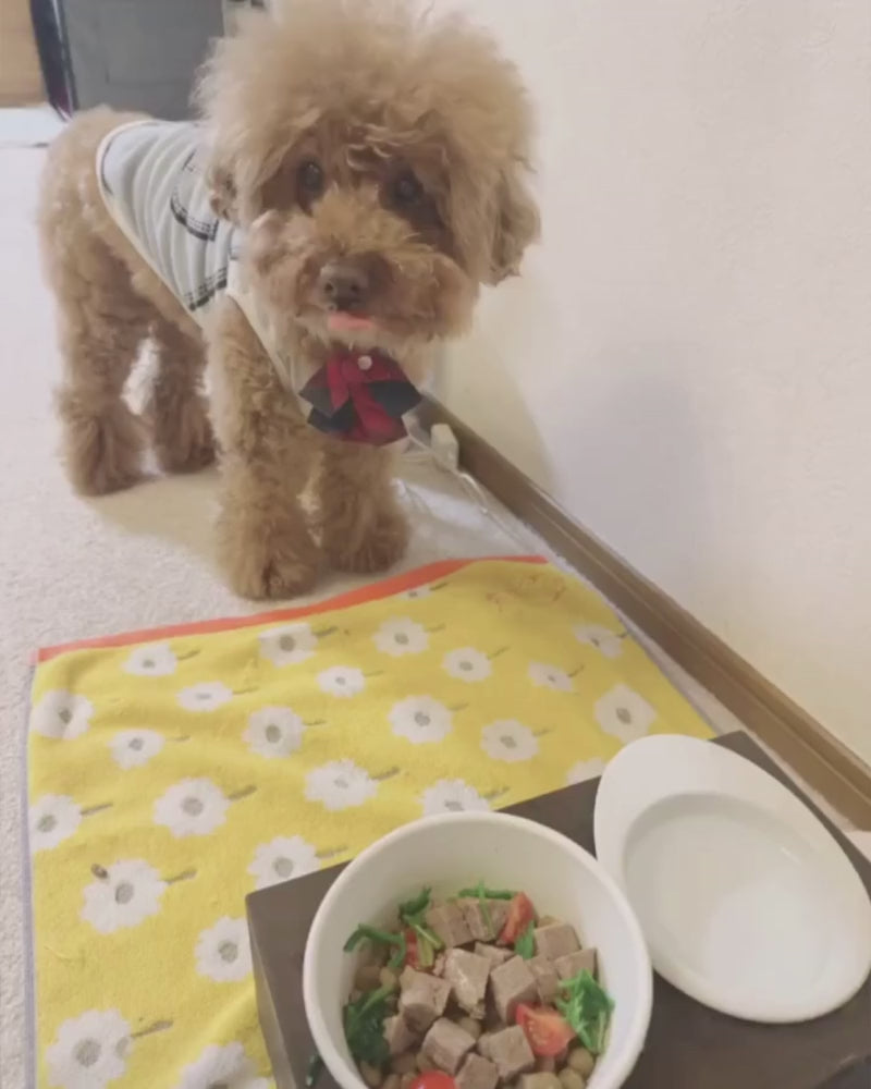 鹿肉ハンバーグ 50gx3袋セット