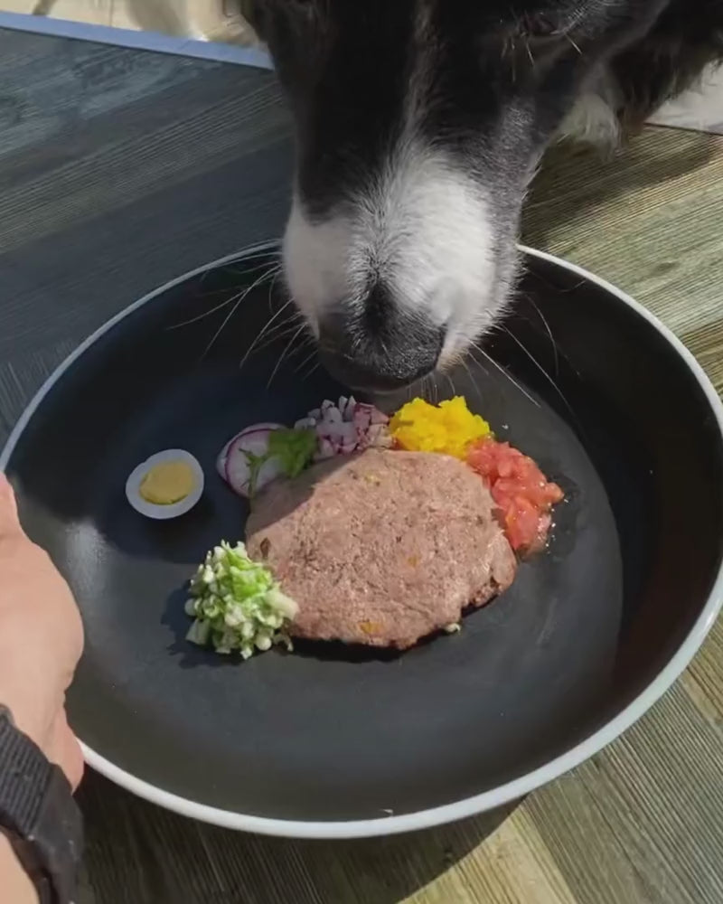 鹿肉ハンバーグ 50gx10袋セット