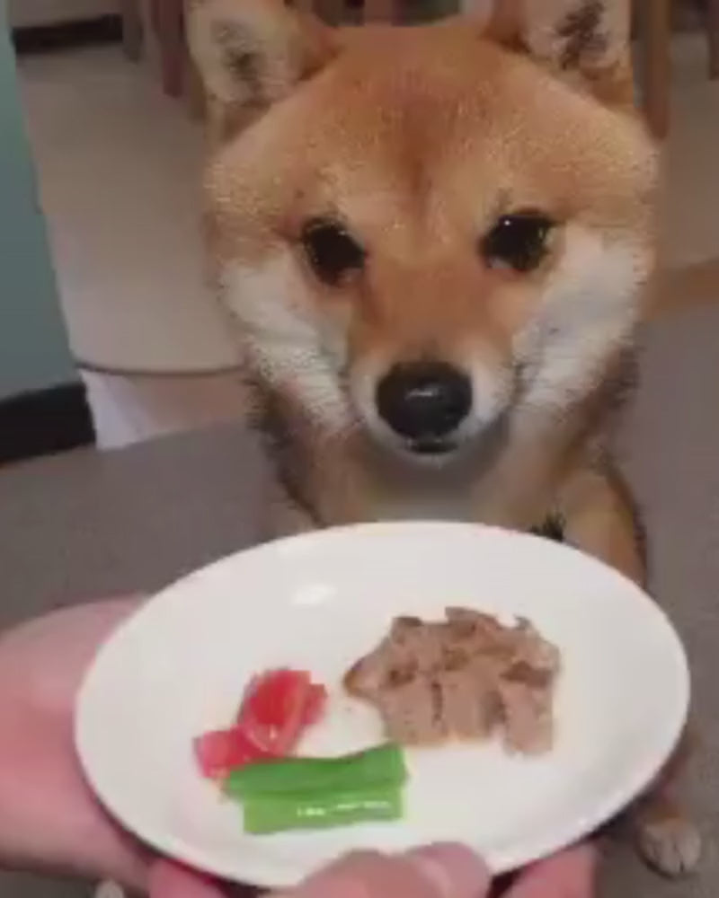 鹿肉ハンバーグ 50gx3袋セット