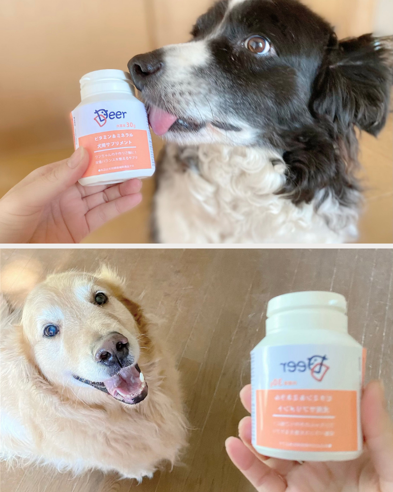 犬用サプリメント ビタミン＆ミネラル（粉末） 100g